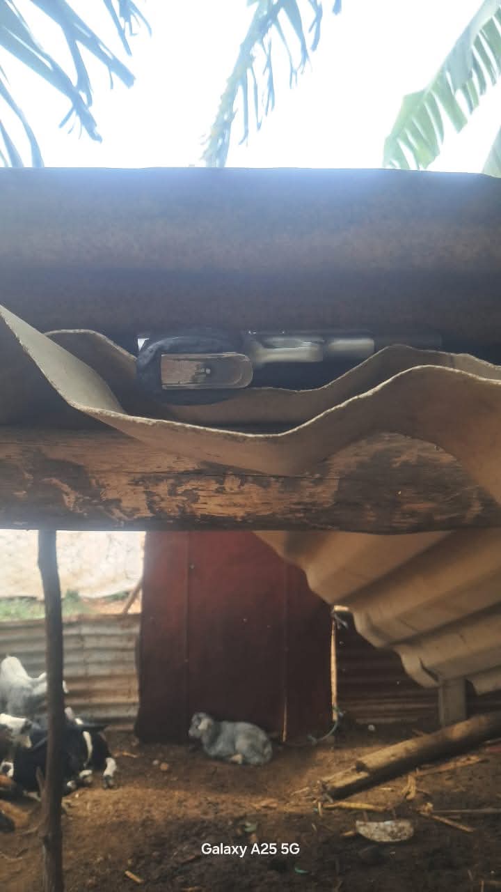 FB_IMG_1762270517178