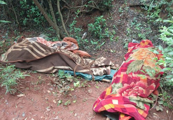 FB_IMG_1768934746753