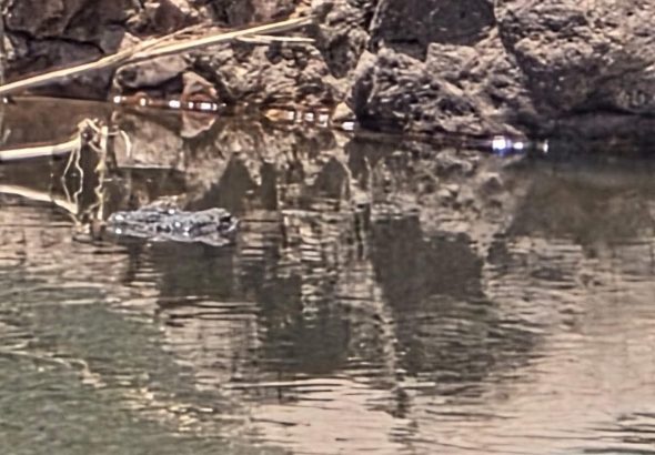 FB_IMG_1771127777009