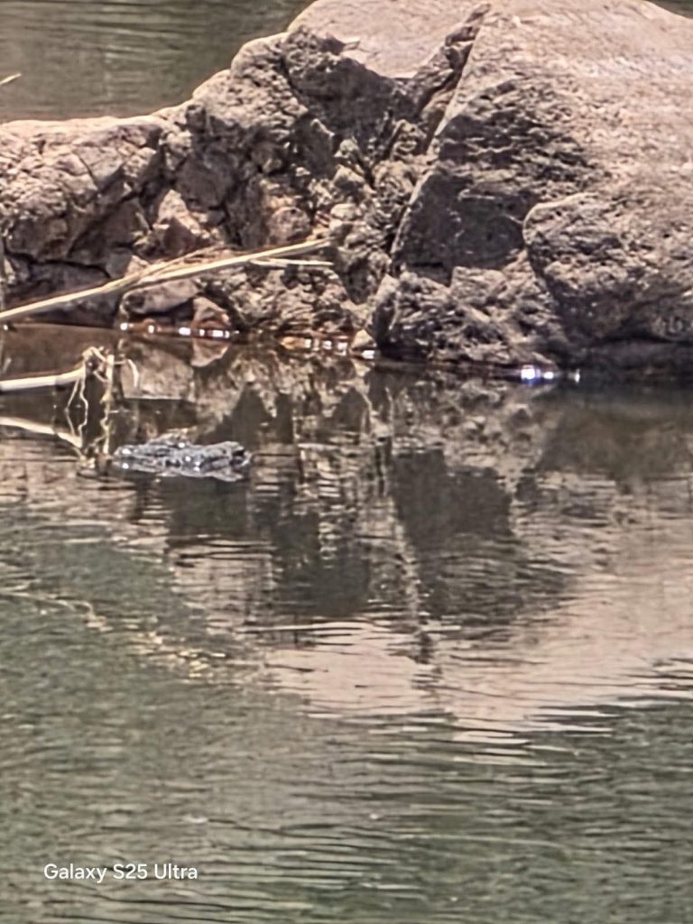 FB_IMG_1771127777009