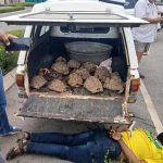 FB_IMG_1773244704263