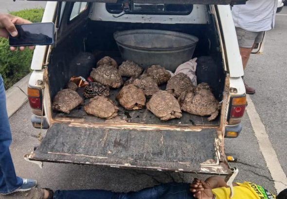 FB_IMG_1773244704263